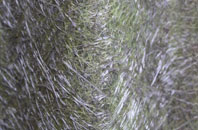 Axwell Park fibreglass roof work